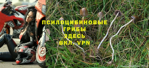 бошки Абинск