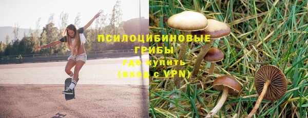метадон Абаза