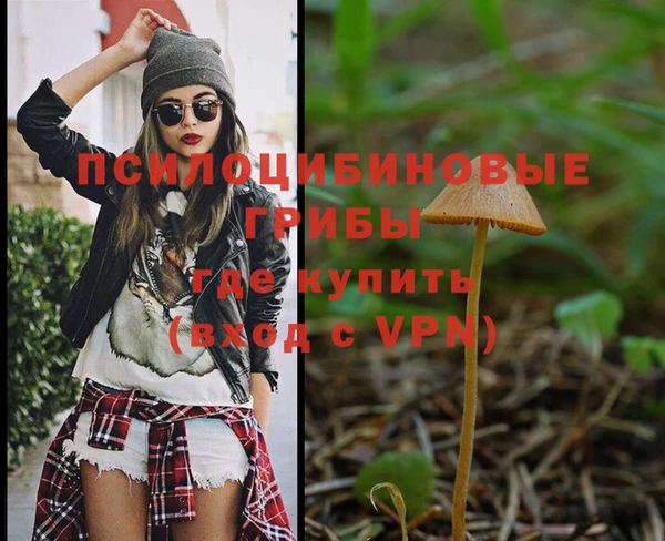 метадон Абаза