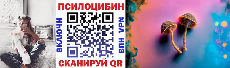 Галлюциногенные грибы Psilocybine cubensis  наркошоп  Горячеводский 