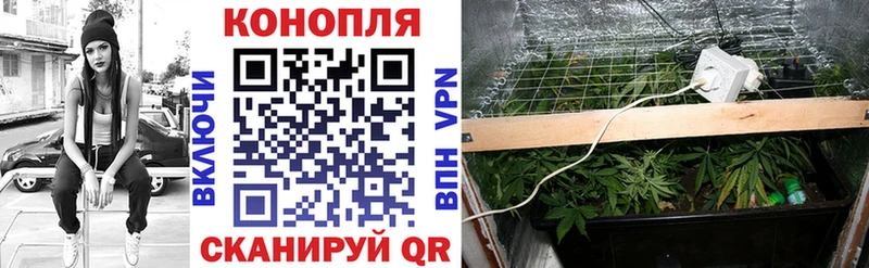 Бошки Шишки планчик Горячеводский